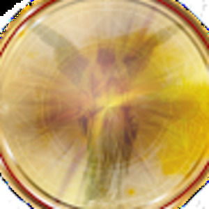 Meet your Posher, Shane